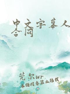 中文字幕人妻综合网