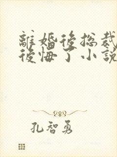 离婚后总裁老婆后悔了小说