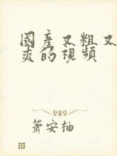 国产又粗又猛又爽的视频