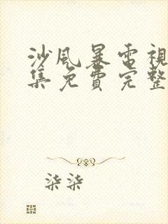 沙风暴电视剧全集免费完整版