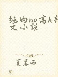纯肉np高h辣文小说