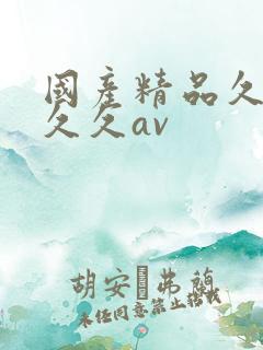 国产精品久久久久久av