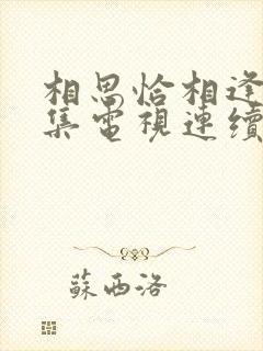 相思恰相逢92集电视连续剧