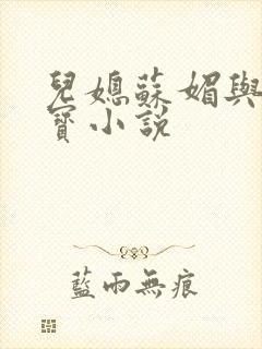 儿媳苏媚与赵大宝小说