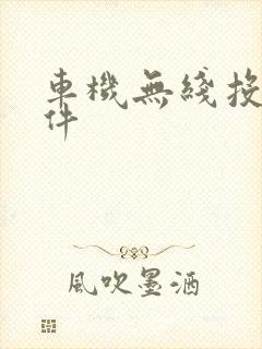 车机无线投屏软件