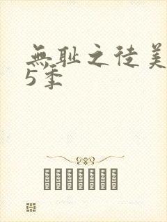 无耻之徒美版第5季