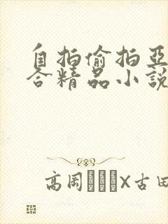 自拍偷拍亚洲综合精品小说