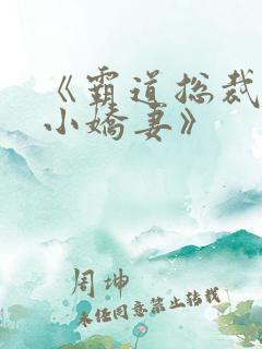《霸道总裁爱上小娇妻》