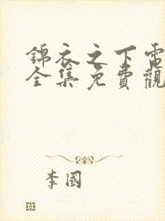 锦衣之下电视剧全集免费观看高清