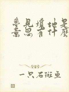 梦见坟地是什么意思有什么预兆吗