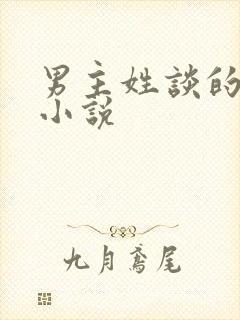 男主姓谈的现代小说