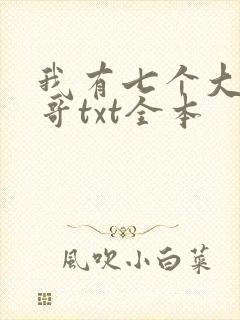 我有七个大佬哥哥txt全本