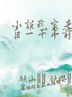 小说我家老婆来自一千年前全文阅读