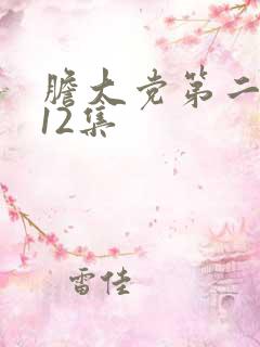 胆大党第二季第12集