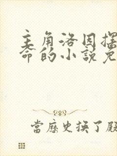 主角洛因摆摊算命的小说免费阅读