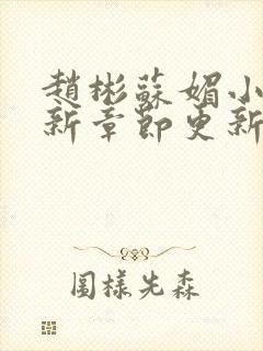 赵彬苏媚小说最新章节更新情况