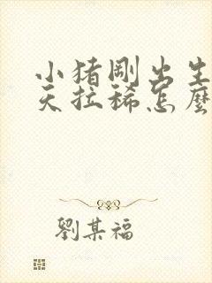 小猪刚出生第二天拉稀怎么办