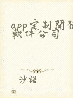 app定制开发软件公司