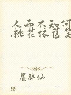 人面不知何处去,桃花依旧笑春风下一句