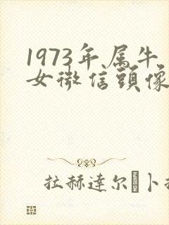 1973年属牛女微信头像用什么最招财