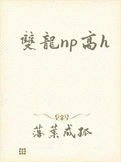 双龙np高h