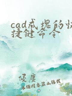 cad成块的快捷键命令