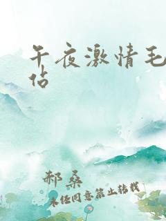 午夜激情毛片网站