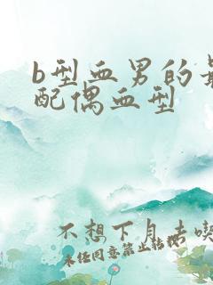 b型血男的最佳配偶血型