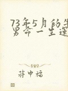 73年5月的牛男命一生运势