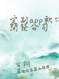 定制app软件开发公司