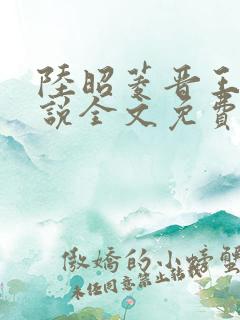 陆昭菱晋王的小说全文免费阅读最新章节