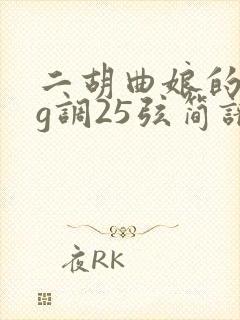 二胡曲娘的眼泪g调25弦简谱