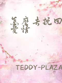 怎么去挽回一段爱情