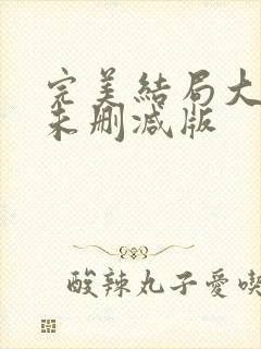 完美结局大作战未删减版