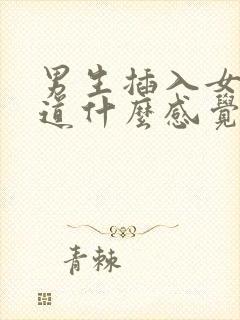 男生插入女生阴道什么感觉