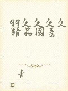 99久久久久久精品国产