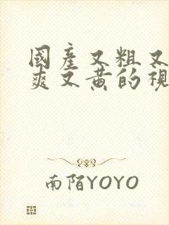 国产又粗又猛又爽又黄的视频免费