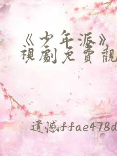 《少年派》1电视剧免费观看全集