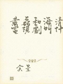 黄磊和海清演的电视剧叫什么名字