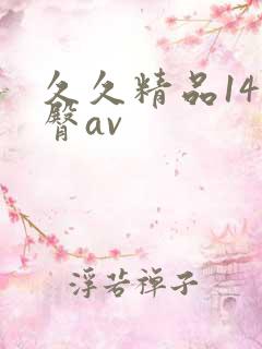 久久精品14蜜臀av