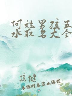 何姓男孩五行缺水取名大全