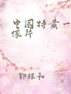 中国特黄一级录像片