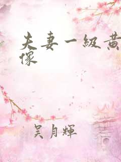 夫妻一级黄色录像