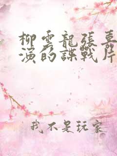 柳云龙张嘉译主演的谍战片电视剧大全集