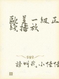 欧美一级正片在线播放