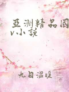 亚洲精品国产av小说