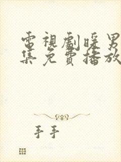 电视剧暖男记全集免费播放