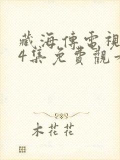 藏海传电视剧24集免费观看