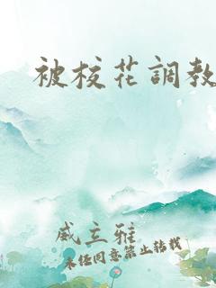 被校花调教小说