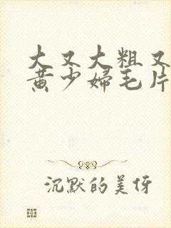 大又大粗又爽又黄少妇毛片口